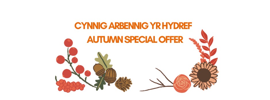 Cynnig Arbennig yr Hydref