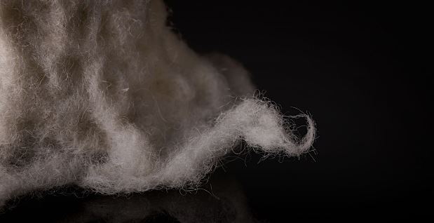 Adult Wool Felting Workshop with Deanne Doddington Mizen