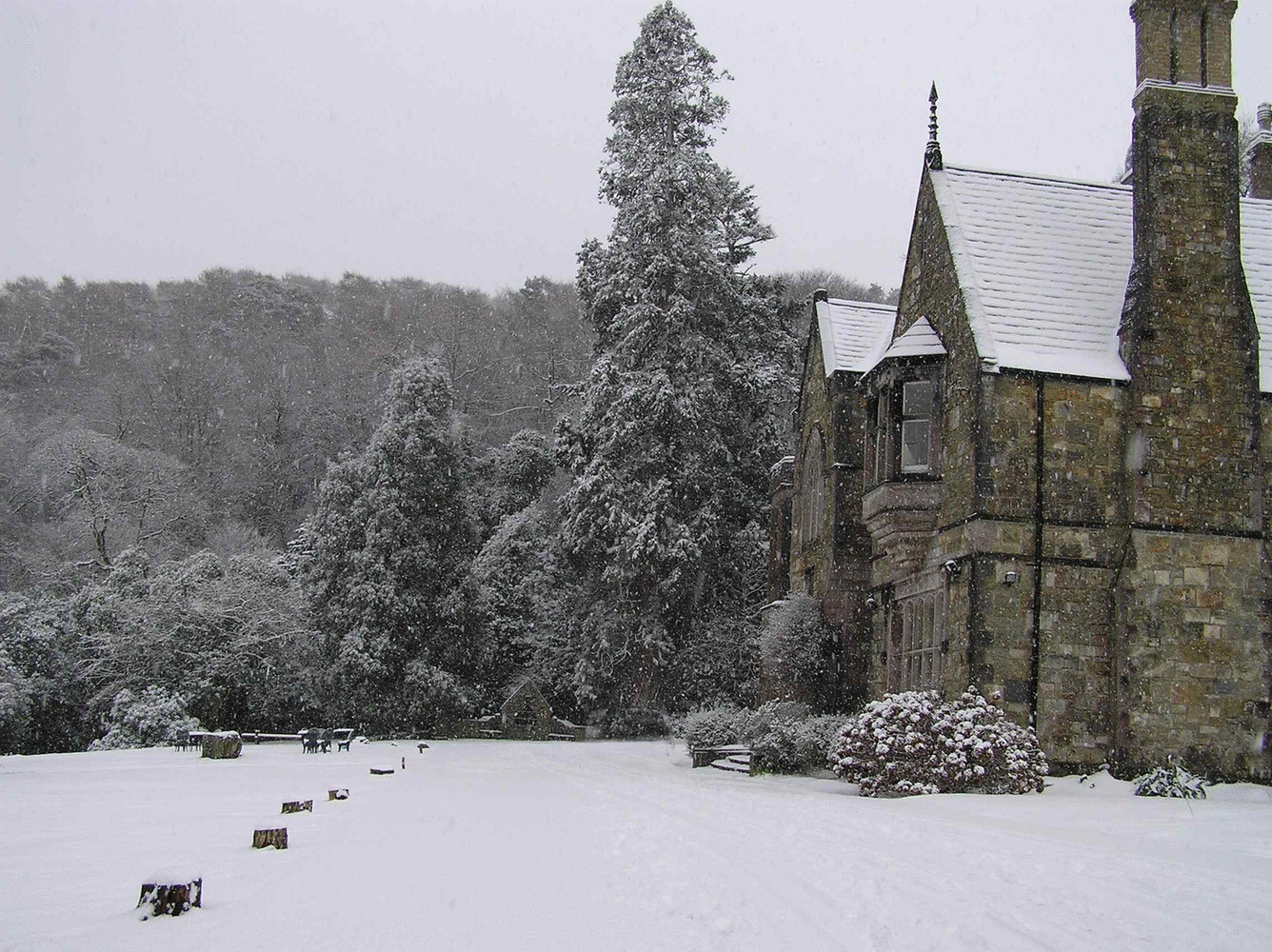 Nadolig Llawen a Blwyddyn Newydd Dda!