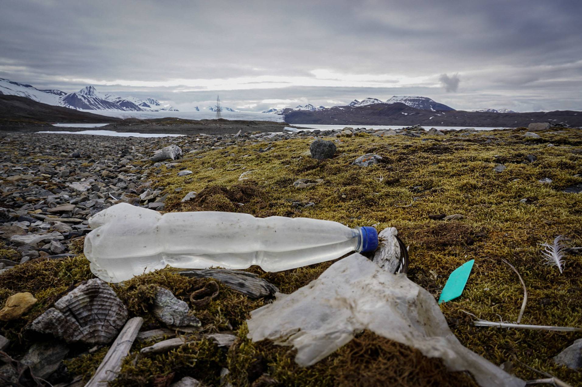 Ben Porter - Sail Against Plastic