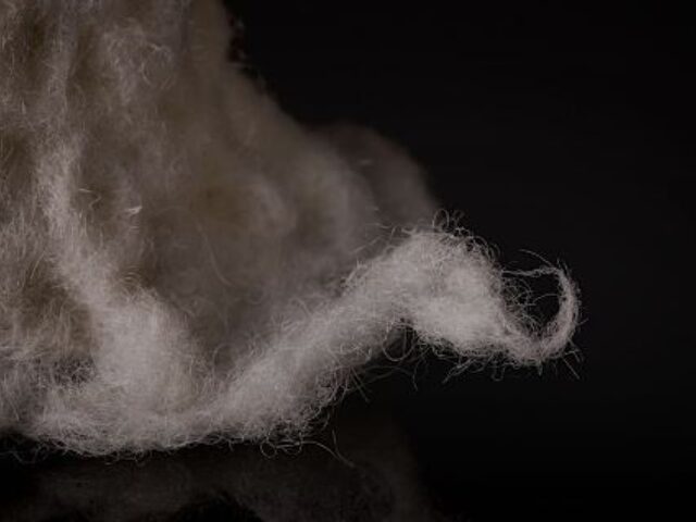 Adult Wool Felting Workshop with Deanne Doddington Mizen