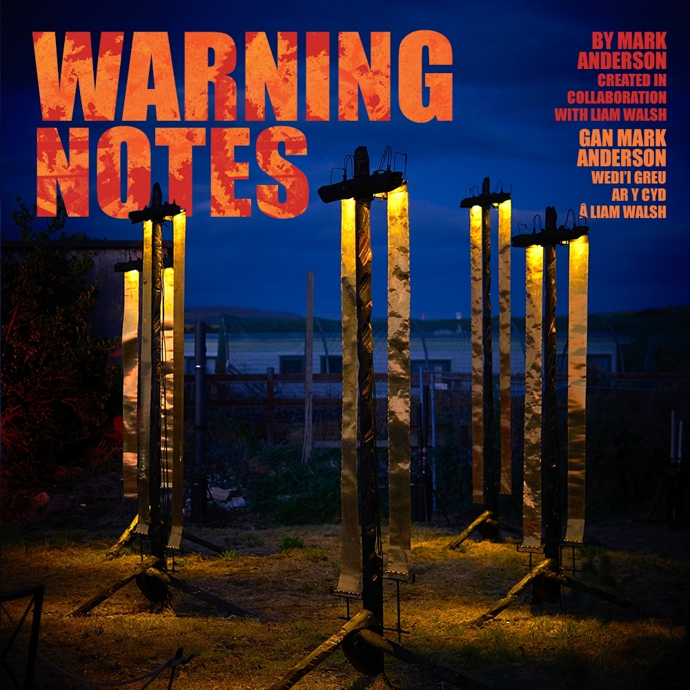 Warning Notes by Mark Anderson