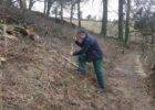 Planting trees in the woodland