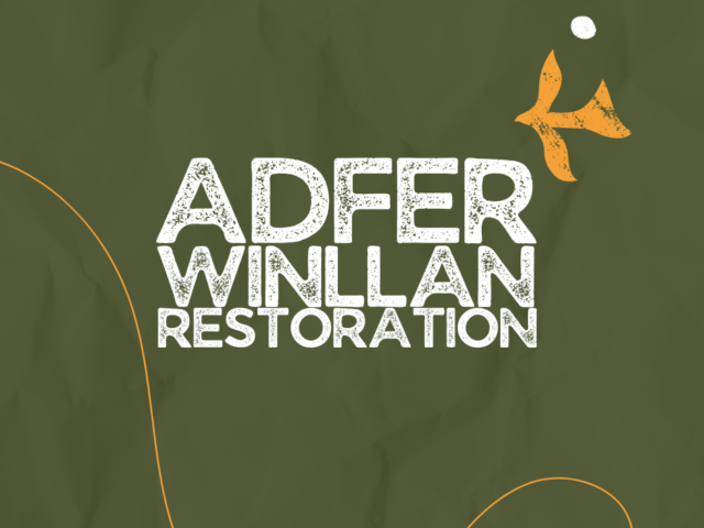 Adfer y Winllan
