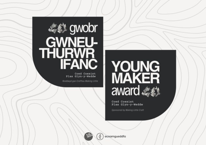 Landscape CC Young Maker Award