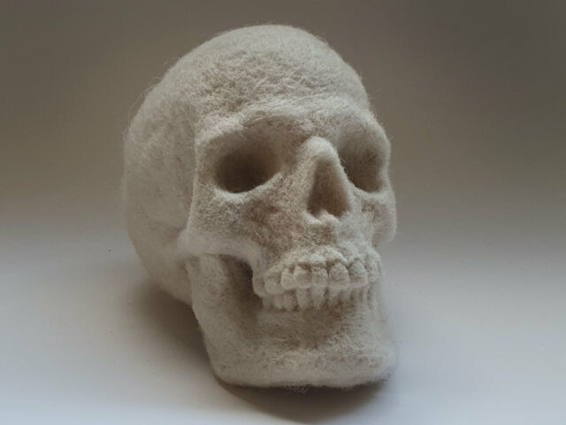 Skull